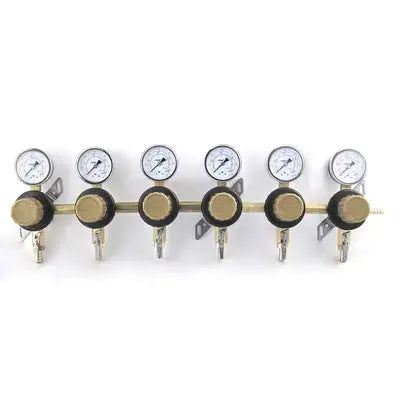 6 Body 60 Psi Polycarbonate Secondary Regulator Assembly
