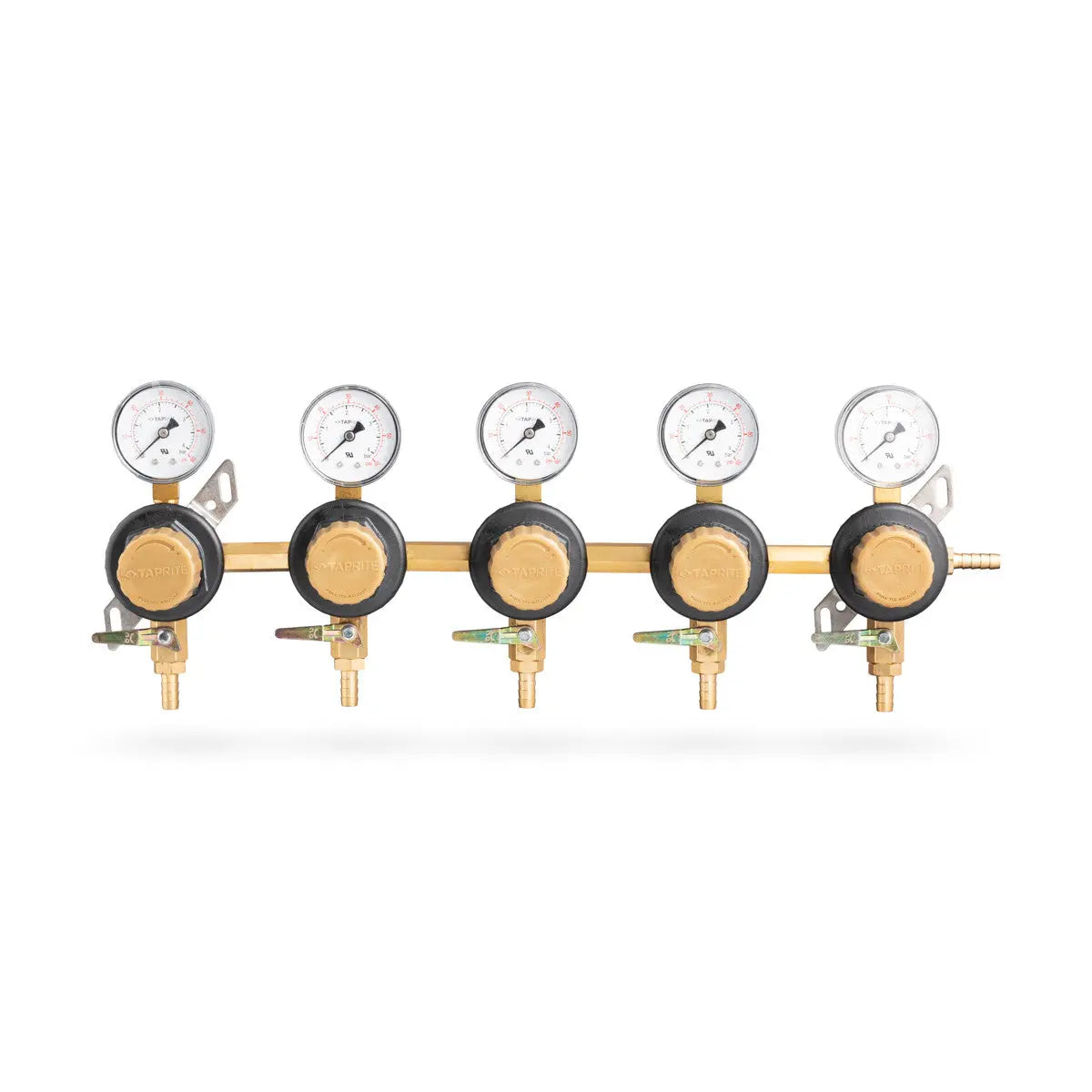 5 Body 60 Psi Polycarbonate Secondary Regulator Assembly