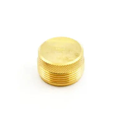 Faucet Plug