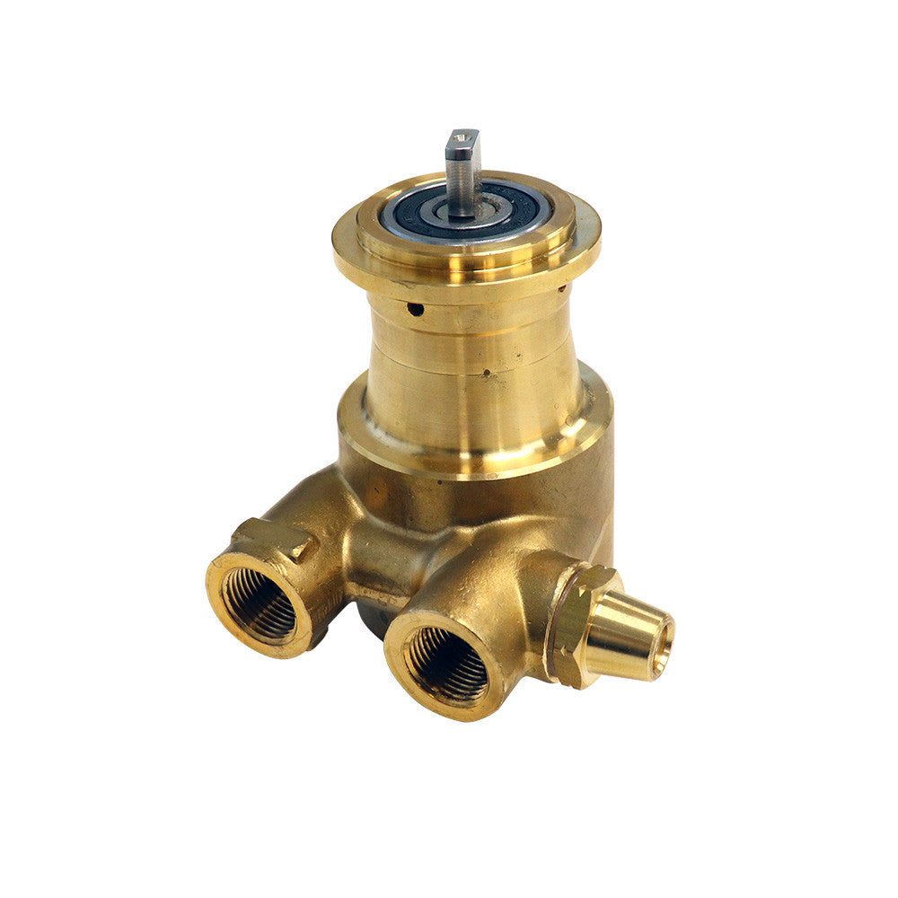 105 Gph New Brass Rotary Vane Clamp-on Pump