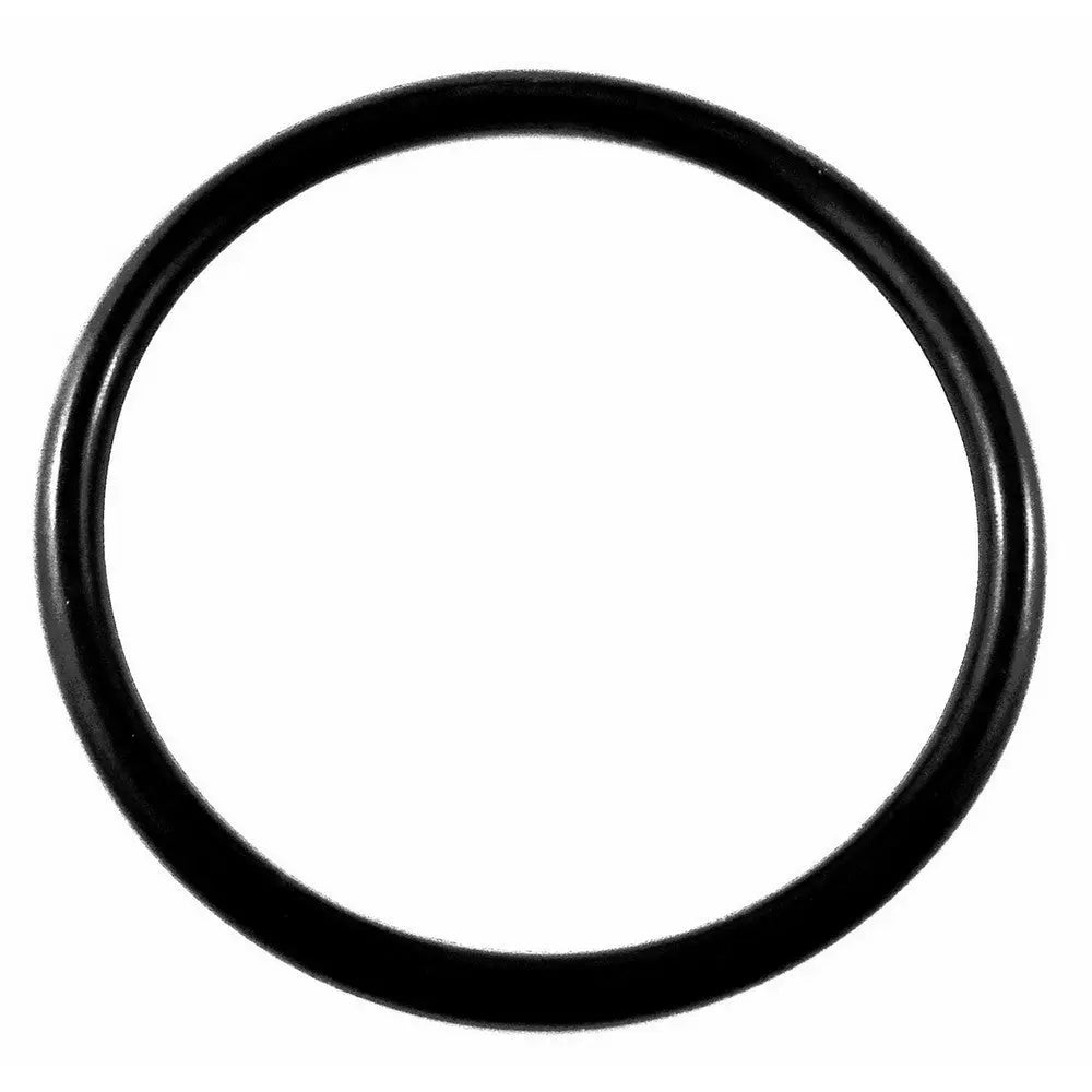 Oversized Lid "O" Ring for Corny Keg